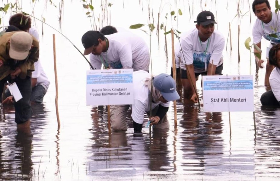 Freeport Indonesia Tanam Mangrove di Kalimantan Selatan, Perkuat Komitmen Rehabilitasi 10.000 Hektar hingga 2041