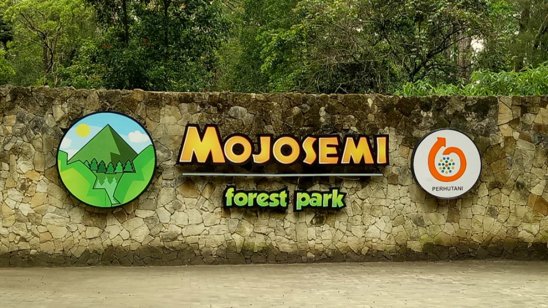 10 Destinasi Wisata Alam Magetan yang Wajib Dikunjungi Untuk Liburan Tak Terlupakan