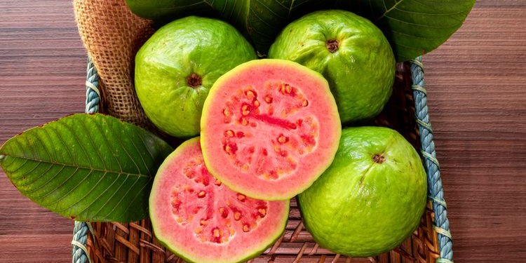 Pilihan Makanan Kaya Vitamin C untuk Menjaga Imunitas Tetap Optimal