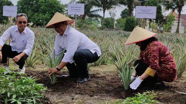Anggaran Transmigrasi Difokuskan untuk Penguatan Ekonomi Kawasan Nasional