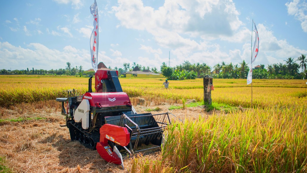 Petani Berau Go Digital