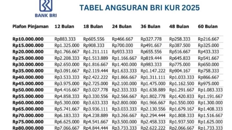 KUR BRI 2025 Permudah Modal Usaha dengan Cicilan Ringan