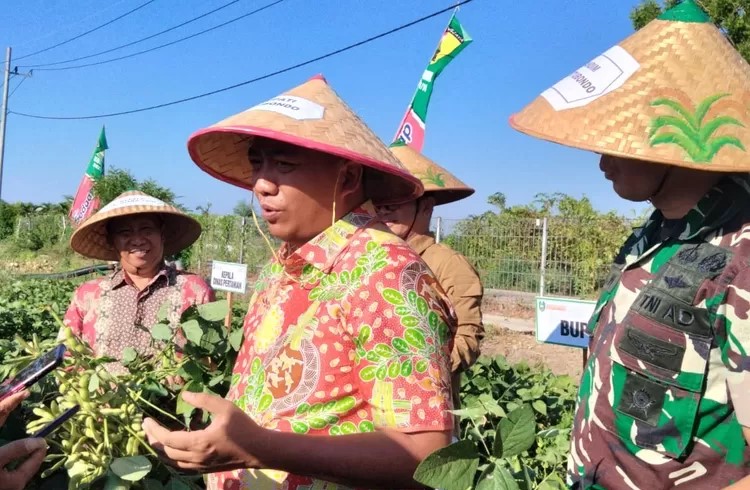 Pemkab Situbondo Dorong Petani Maksimalkan Panen Edamame untuk Ekspor
