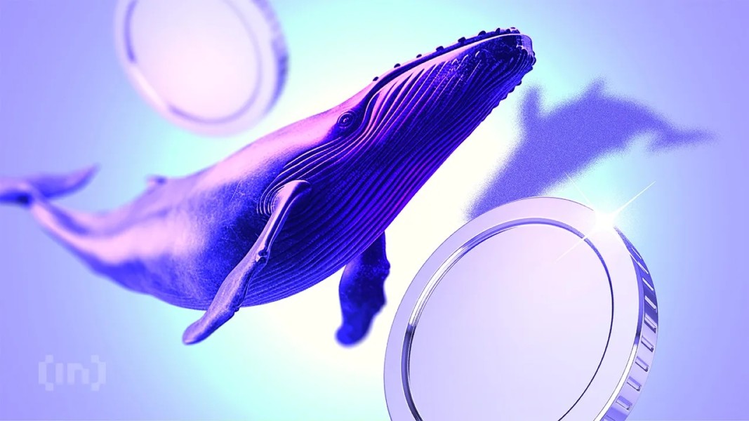 Crypto Whale Bidik Tiga Altcoin Juli 2025