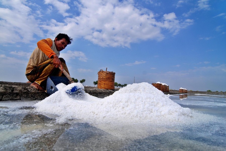 Pemerintah Setop Impor Garam, Pengusaha Industri Soroti Kualitas Produksi Lokal dan Dampak Cuaca