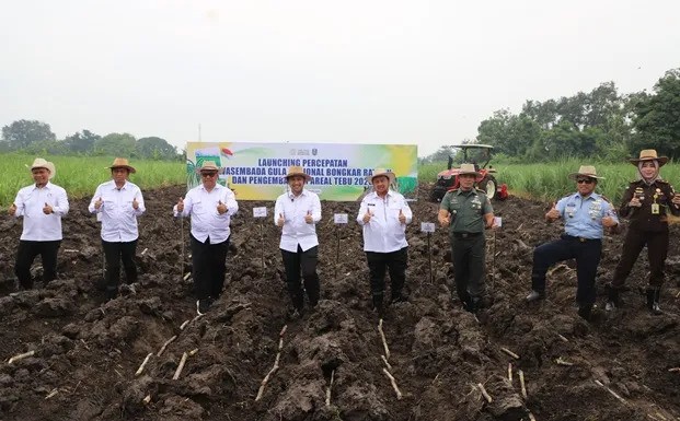 Strategi Nasional Percepat Bongkar Ratoon Demi Swasembada Gula