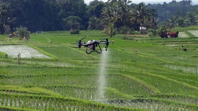 Petani Muda Terbangkan Drone di Sawah Bali