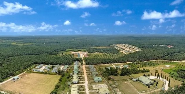 Saham Triputra Agro Persada (TAPG) Melonjak di Zona Hijau Berkat Kenaikan Laba Bersih 2024