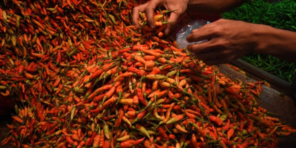 Update Harga Cabai Rawit di Gresik Belum Normal Pasca Lebaran