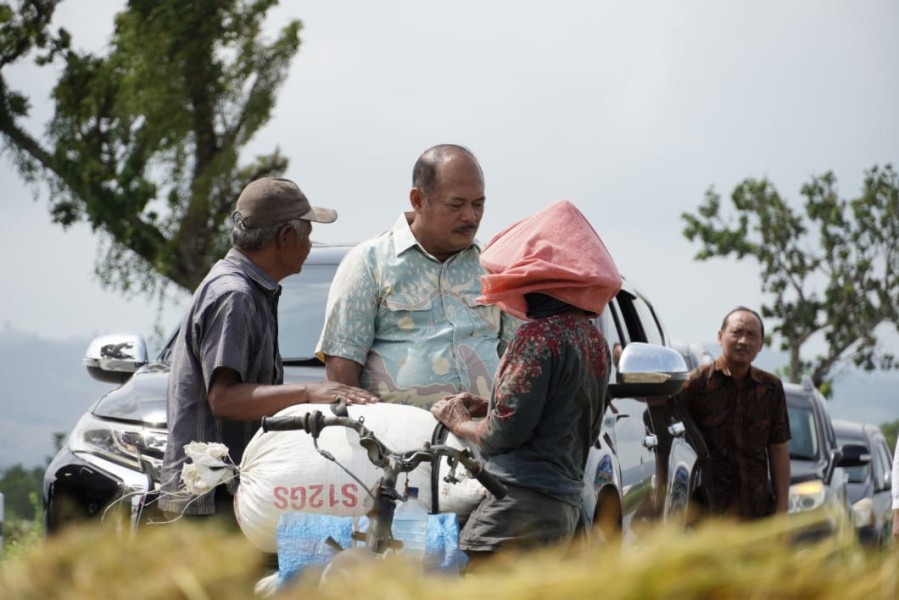 Petani Menghadapi Kerugian Besar Akibat Banjir: Seruan untuk Dukungan Pemerintah