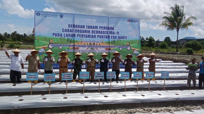 Bank Indonesia Jaga Inflasi Melalui Kelompok Tani: Greenhouse Mekar Nadi Sari Tingkatkan Produktivitas dan Kesejahteraan Petani