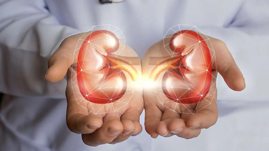 Waspada 5 Jenis Makanan Ini Bisa Merusak Ginjal Anda Secara Diam-diam