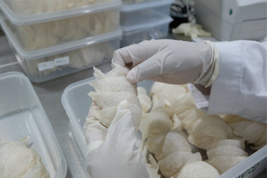 Abadi Lestari Indonesia Siapkan IPO Saham Rp150-Rp168 Lembar