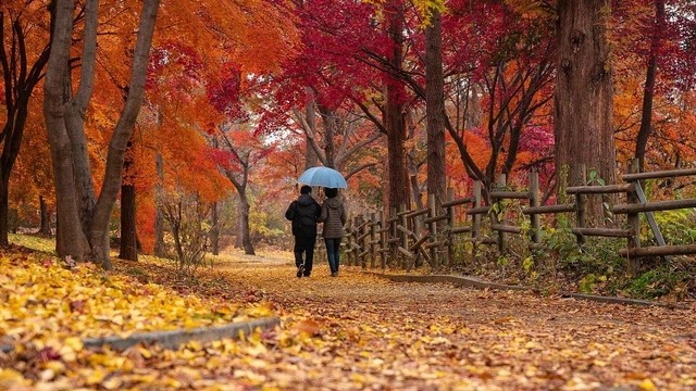 5 Tips Hemat Honeymoon Musim Gugur Jepang, Budget Tetap Terkontrol