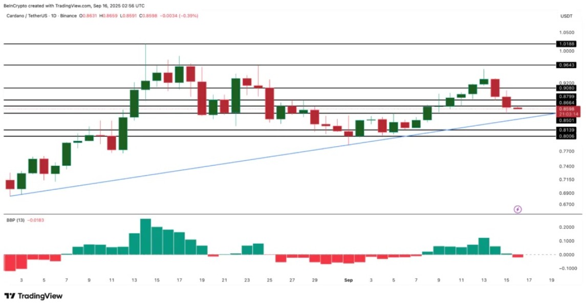 Whale Crypto Akumulasi ADA, LINK, ENA Jelang Rapat FOMC
