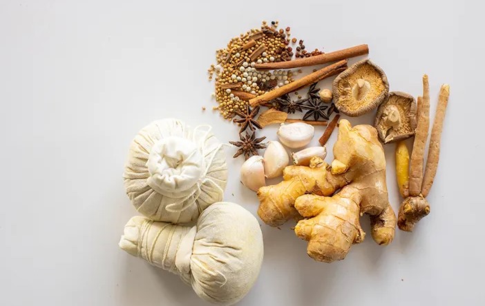 10 Tanaman Obat Tradisional yang Ampuh Untuk Antasi Berbagai Penyakit