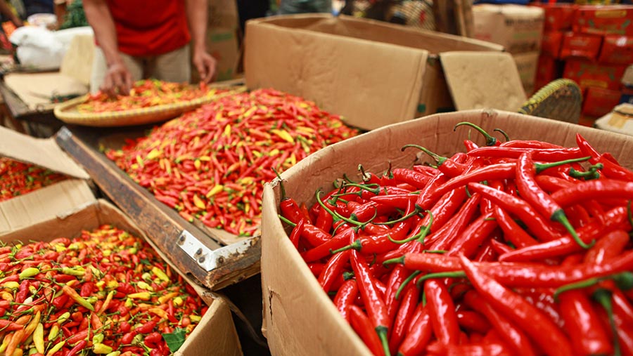 Harga Pangan Nasional Awal Pekan Terpantau Turun Cabai Merah hingga Daging Sapi Melandai