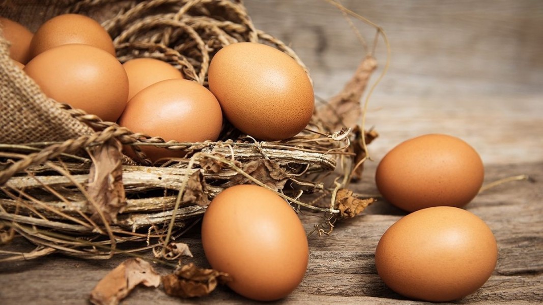 5 Kombinasi Makanan dengan Telur yang Sebaiknya Dihindari demi Kesehatan Optimal 5 Kombinasi Makanan dengan Telur yang Sebaiknya Dihindari demi Kesehatan Optimal