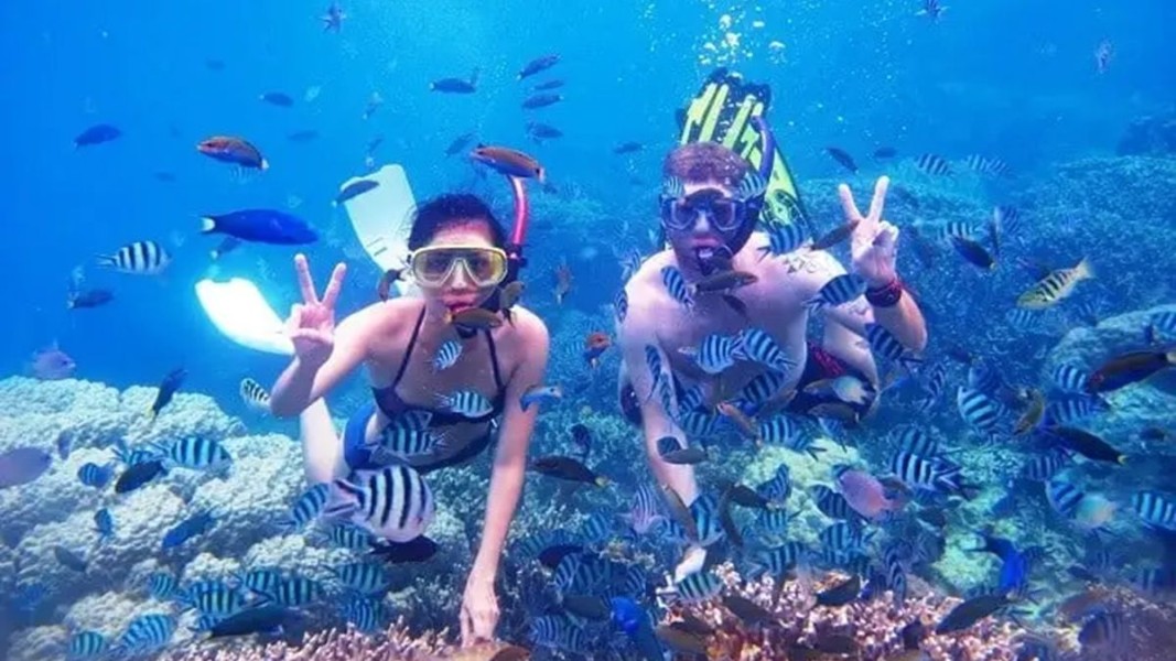 Wisata Selam di Perairan Tulamben, Karangasem-Bali: Menyelam di Situs Kapal Karam USS Liberty dan Keindahan Bawah Laut Lainnya