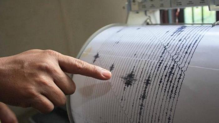 Aktivitas Seismik Meningkat di Jawa Timur, Bali, dan Nusa Tenggara: BMKG Catat 799 Gempa di Januari 2025