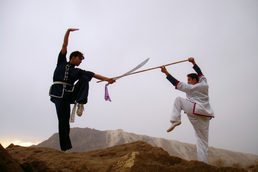 Kung Fu: Seni Bela Diri dan Kesehatan