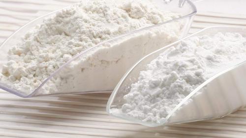 Panduan Lengkap Mengatasi Kutu Tepung Secara Aman di Dapur