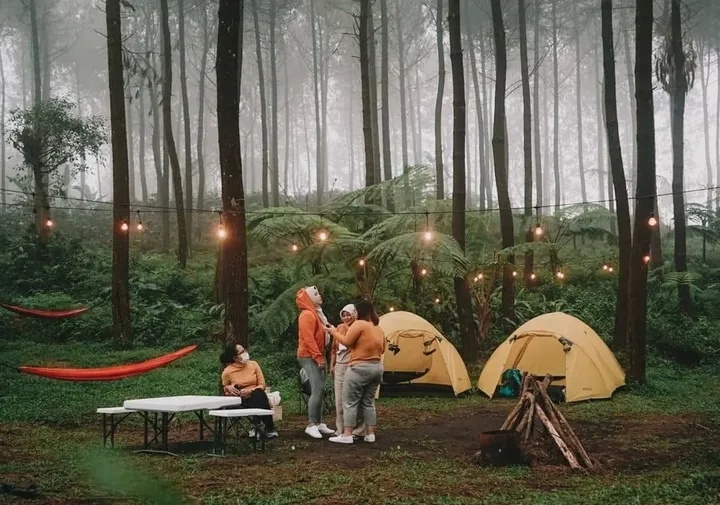 Tiga Wisata Hutan di Wagir Malang Cocok untuk Healing dan Liburan Singkat