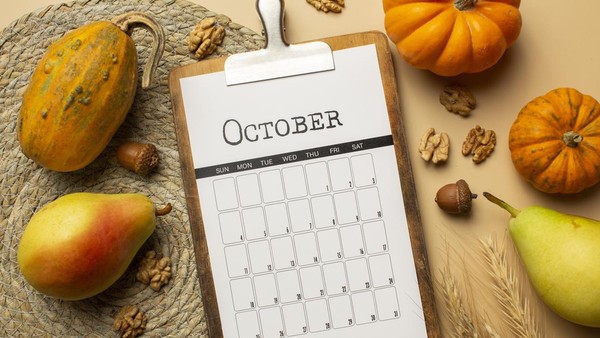Makna di Balik 8 Oktober: Hari Penting bagi Tata Ruang, Pendidikan, dan Lingkungan Dunia