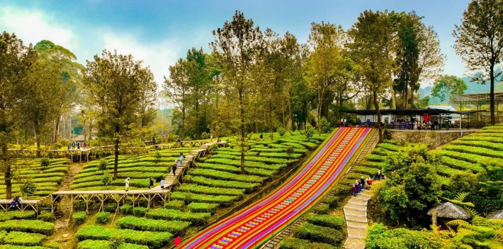 8 Destinasi Wisata Terbaru di Puncak Bogor yang Wajib Dikunjungi Tahun 2026 Bersama Keluarga dan Teman
