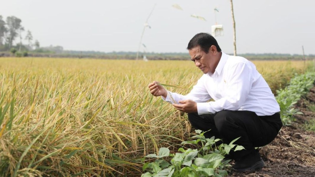 Kinerja Mentan Tingkatkan Produksi Beras dan Kesejahteraan Petani