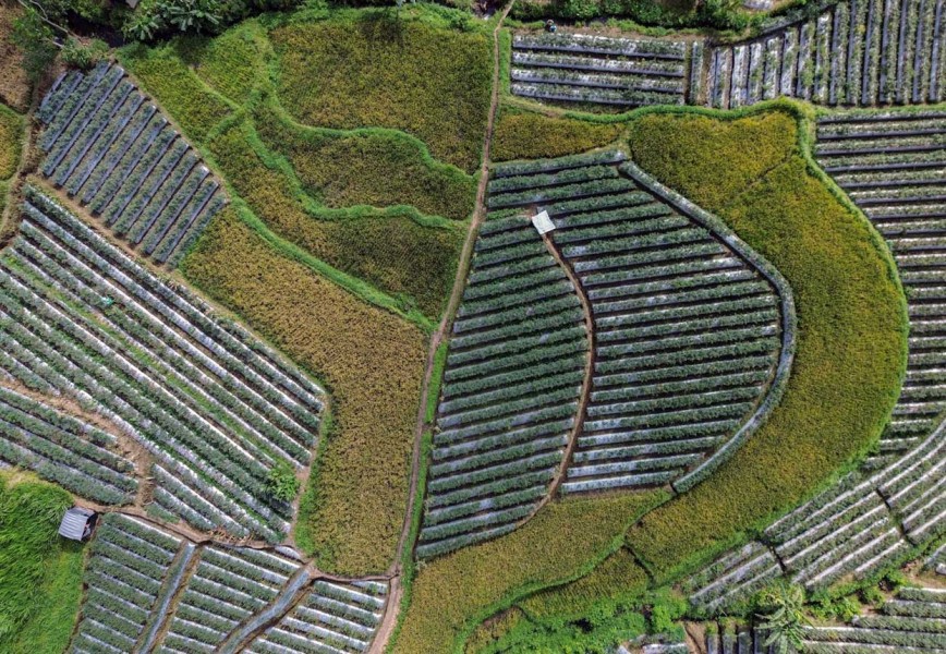 Petani di Daerah Rawan Bencana Dapat Perlindungan Asuransi