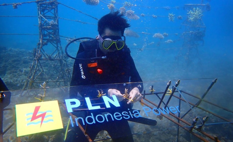 PLN Indonesia Power Dorong Konservasi Laut dan Pesisir Lombok