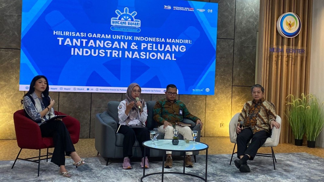 Strategi Pemerintah Dorong Swasembada Garam 2027 dan Tingkatkan Kesejahteraan Petambak