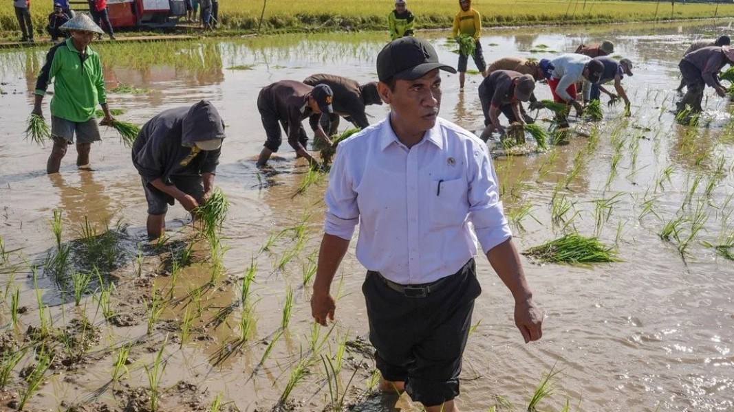 Hilirisasi Pertanian Daerah Jadi Fokus Mentan Amran Demi Nilai Tambah Petani