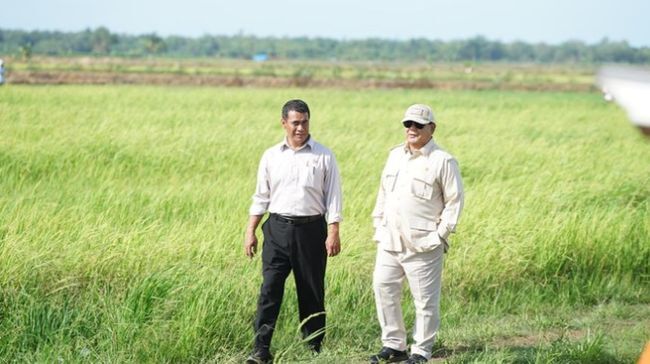 Presiden Percepat Swasembada Pangan, Petani Lebih Sejahtera