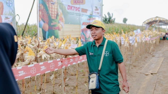 Petani Jawa Tengah Rasakan Dampak Positif Program Benih Unggul dan Pendampingan Bayer