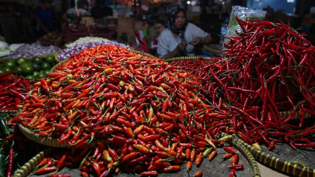 Harga Pangan Nasional Cabai Rawit Merah Tembus Tinggi Ayam Relatif Stabil