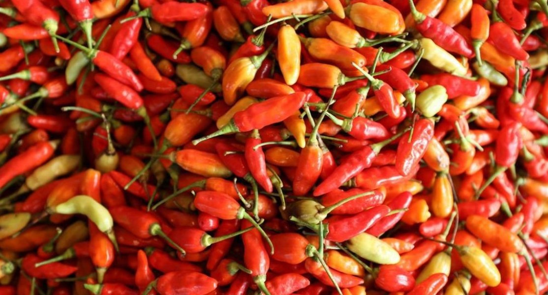 Harga Pangan Turun, Bapanas Catat Penurunan Cabai dan Beras