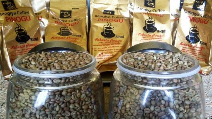 Bank Indonesia Gorontalo Dorong Kopi Pinogu Tembus Pasar Global dengan Sertifikasi Indikasi Geografis dan Pendampingan Intensif