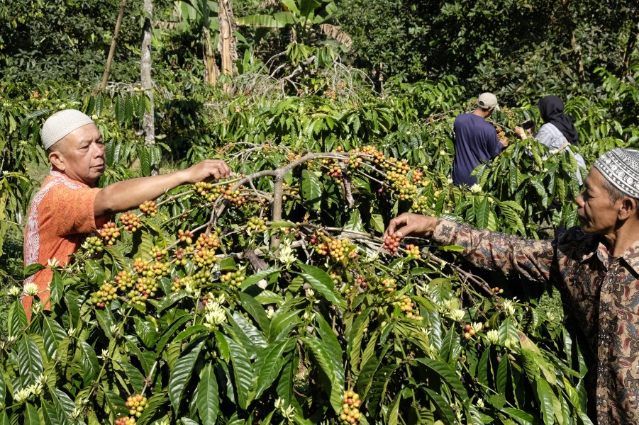 PLN Indonesia Power: Inovasi untuk Meningkatkan Kesejahteraan Masyarakat Pesisir