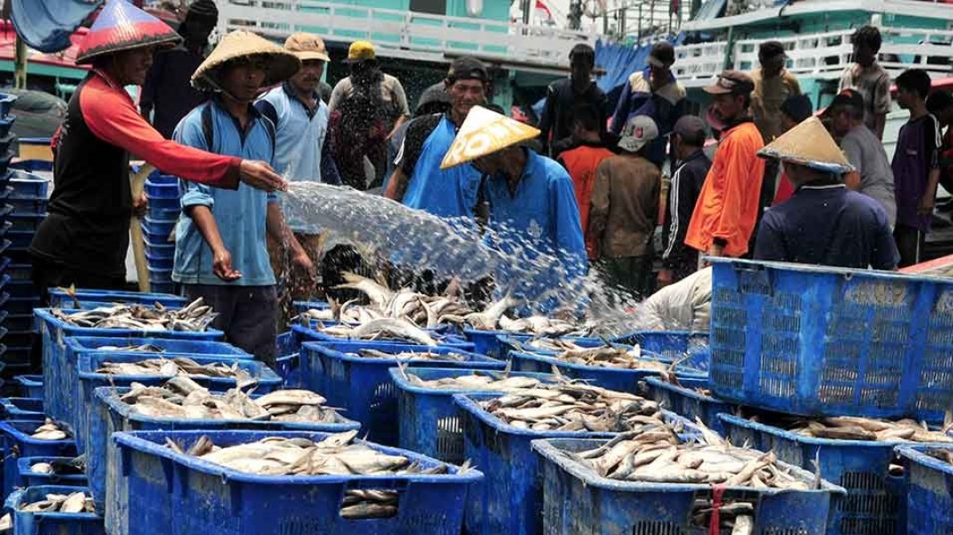 IPMAPHERI Diresmikan KKP Perkuat Mutu dan Daya Saing Perikanan