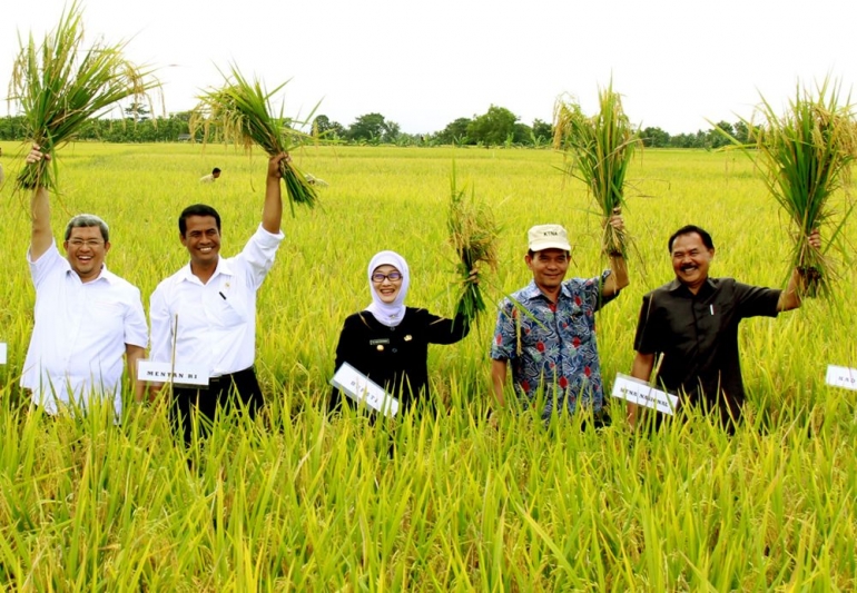 Program Petani Keren: Memberdayakan Generasi Penerus Wiratani Indonesia Demi Ketahanan Pangan Berkelanjutan