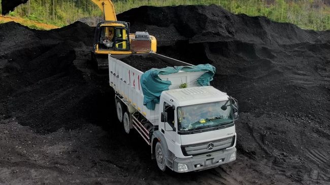 Harga Batu Bara Dunia Masih Berfluktuasi Cepat Dipengaruhi China Eropa Indonesia Global