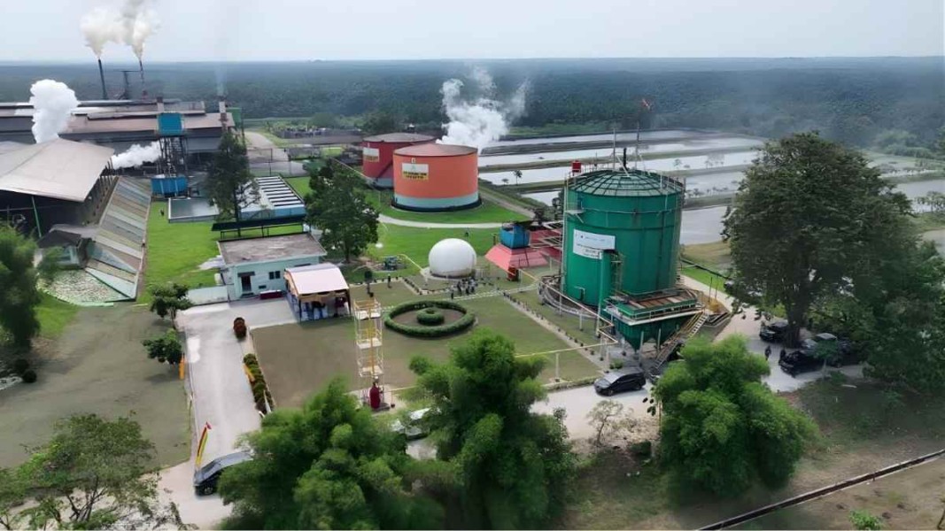 PTPN IV PalmCo Siapkan 16 Pabrik Biometana Sawit untuk Wujudkan Green Jobs dan Energi Bersih