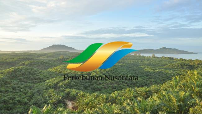 Laba Fantastis PalmCo Tercapai Berkat Strategi Efisiensi Operasional Maksimal