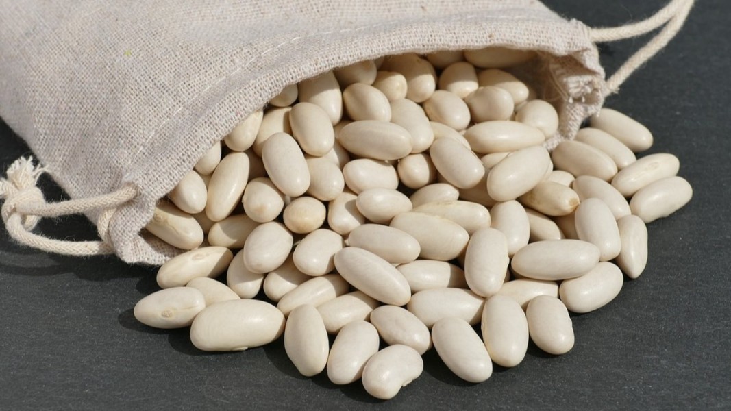 5 Jenis Kacang Paling Sehat yang Wajib Masuk Menu Harian Kamu