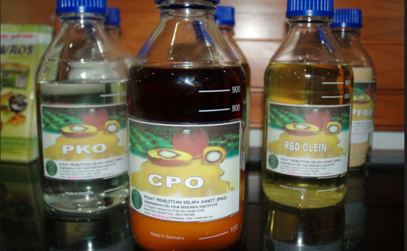 Harga Minyak Sawit Mentah (CPO) Anjlok di Inacom dan Bursa Malaysia pada 6 Januari 2025