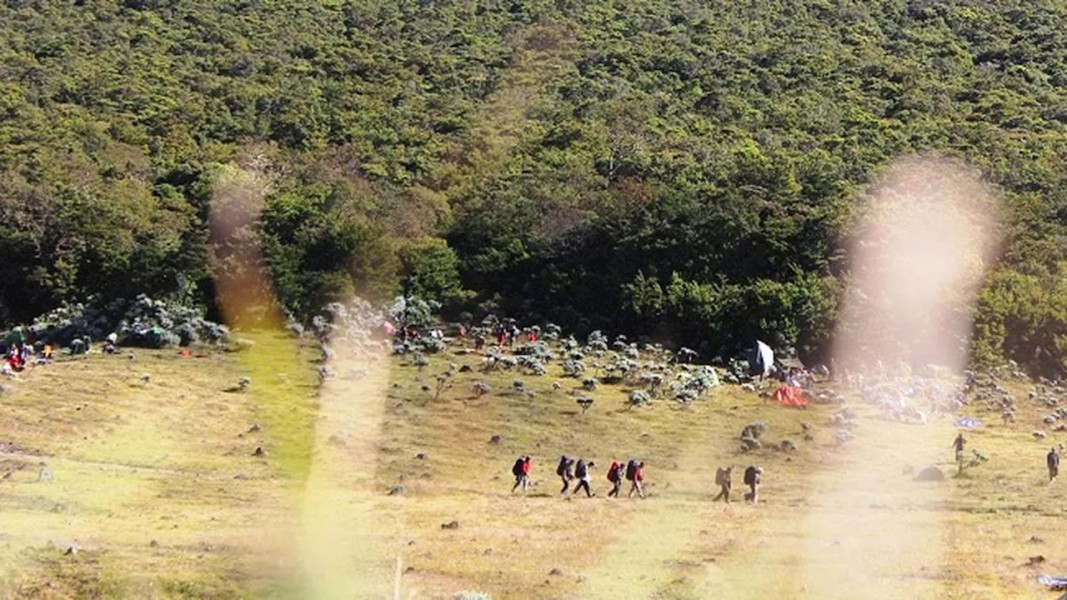 Pendaki Ilegal Gunung Gede Pangrango Jadi Sorotan, TNGGP Ingatkan Etika Alam