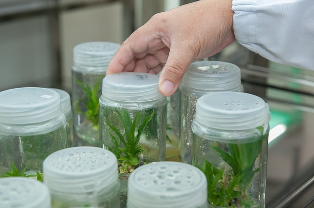 K18: Bagaimana Satu Inovasi Bioteknologi Merevolusi Perawatan Rambut dan Menjadi Simbol Mewah Modern