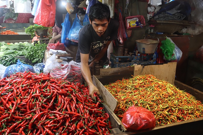 Harga Cabai Turun Serentak Setelah Lebaran, Pasokan Meningkat Tajam